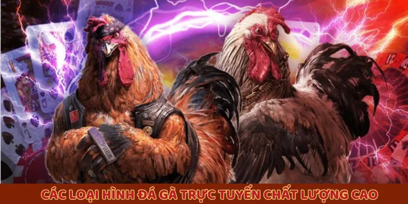 Các loại hình đá gà trực tuyến chất lượng cao