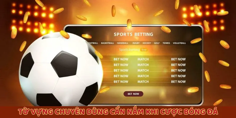 Từ vựng chuyên dùng cần nắm khi cược bóng đá